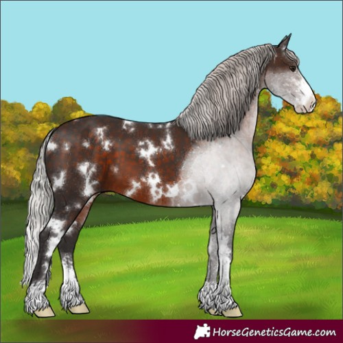 Horse Color:White Spotted Silver Brown Sabino