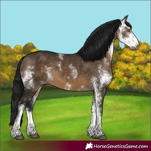 Horse Color:Gray Brown Dun Sabino