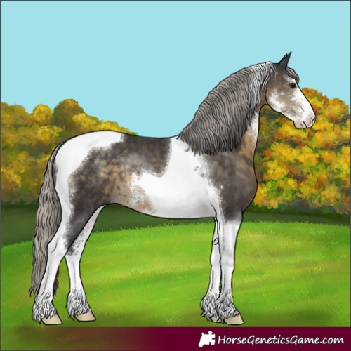 Horse Color:Silver Smoky Black Sabino Tobiano 