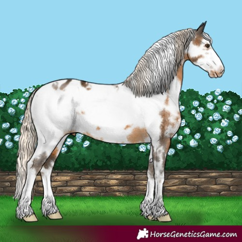 Horse Color:White Spotted Chocolate Palomino Frame Blanket
