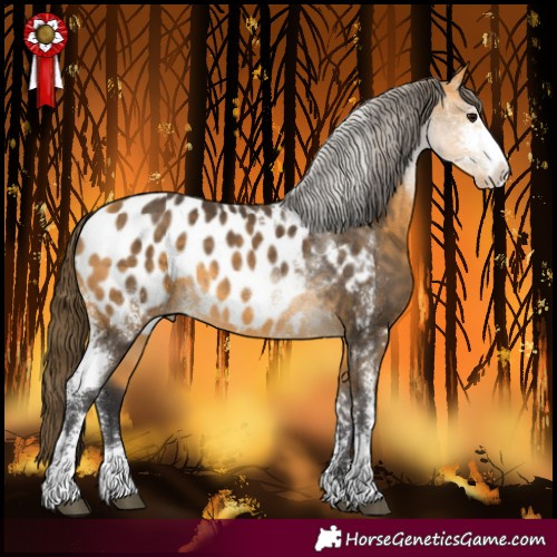 Horse Color:Buckskin Sabino Blanket Rabicano 