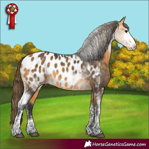 Horse Color:Buckskin Sabino Appaloosa Rabicano 