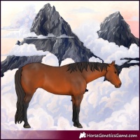 Horse Color:Brown 