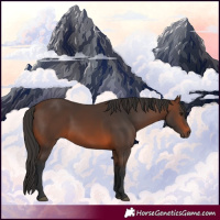 Horse Color:Brown 