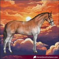 Horse Color:White Spotted Bay