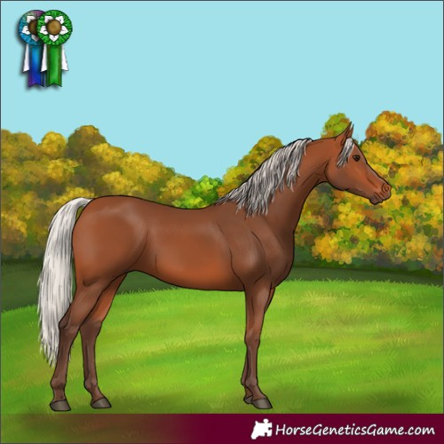 Horse Color:Silver Bay 