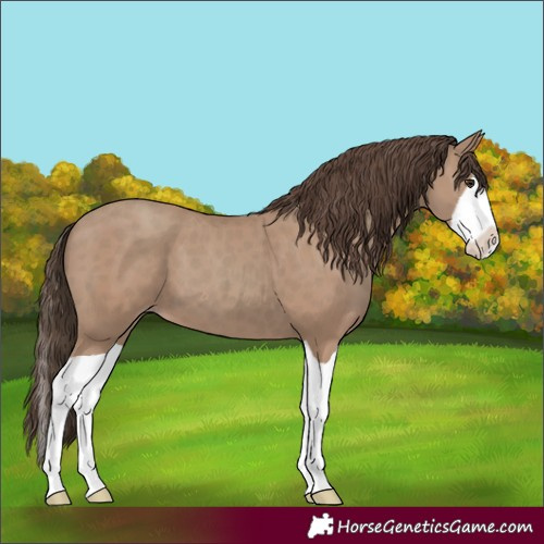 Horse Color:Classic Champagne Splash