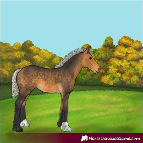 Horse Color:Silver Buckskin 