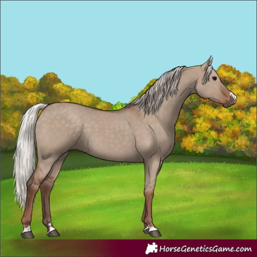 Horse Color:Silver Grullo
