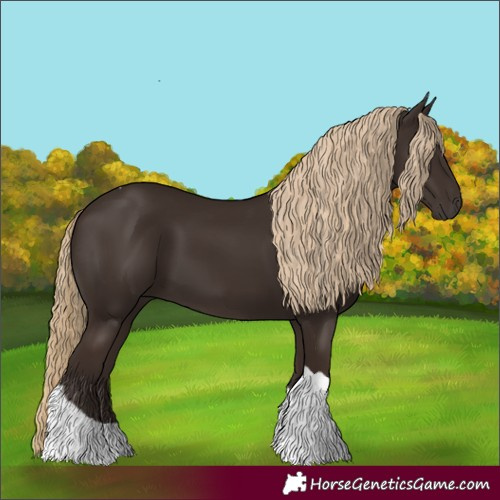 Horse Color:Liver Chestnut Tobiano 