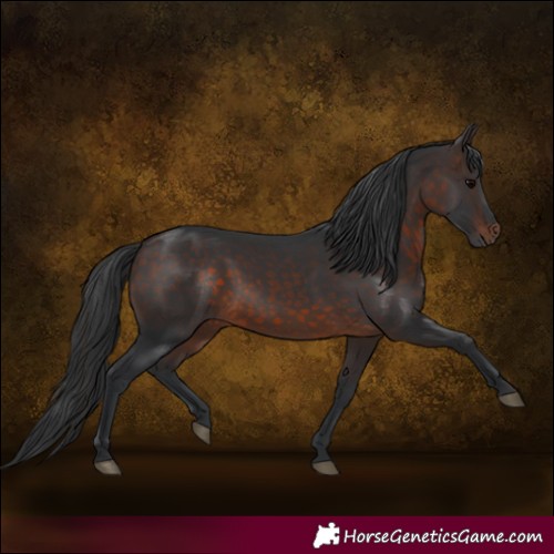 Horse Color:Brown 