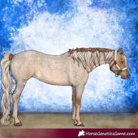 Horse Color:Chocolate Palomino Roan