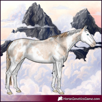 Horse Color:White Spotted Red Roan Splash Appaloosa 
