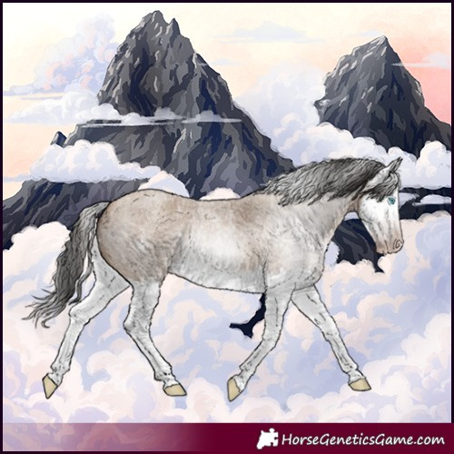 Horse Color:Gray Amber Champagne Roan Splash 