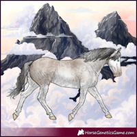 Horse Color:Gray Amber Champagne Roan Splash 