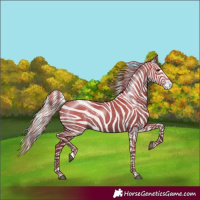 Horse Color:Silver Grullo 