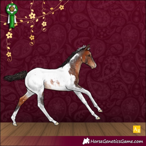 Horse Color:Brown Tobiano Near Fewspot Rabicano 