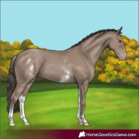 Horse Color:White Spotted Classic Champagne