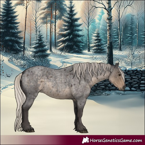 Horse Color:Silver Smoky Blue Roan 