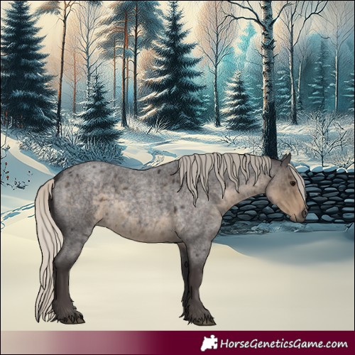 Horse Color:Silver Smoky Blue Roan 