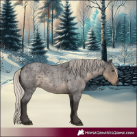 Horse Color:Silver Smoky Blue Roan 