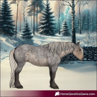Horse Color:Silver Smoky Blue Roan