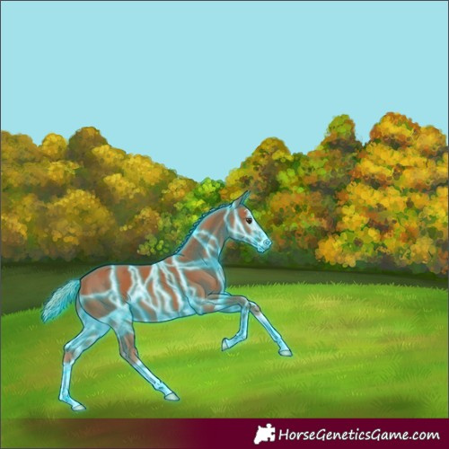 Horse Color:Thunderstruck Chestnut