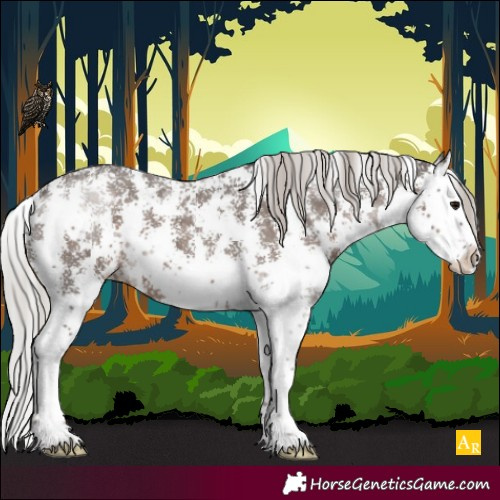 Horse Color:Silver Black Sabino Splash Appaloosa 