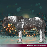 Horse Color:Brown Tobiano Snowflake Varnish