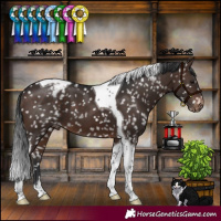 Horse Color:Brown Tobiano Snowflake Varnish