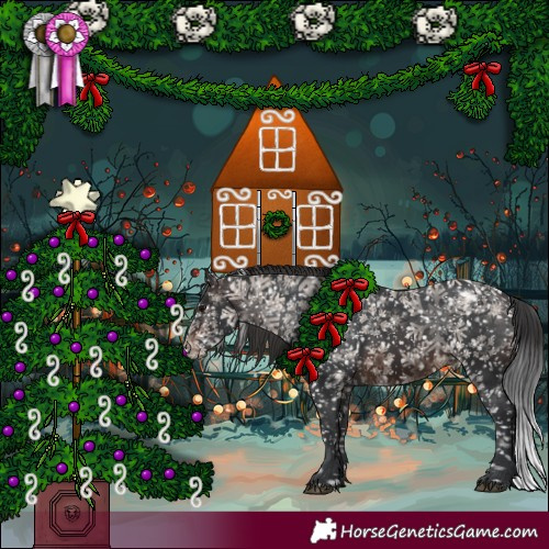 Horse Color:Brown Appaloosa