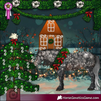 Horse Color:Brown Appaloosa 