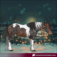 Horse Color:Bay Tobiano Appaloosa 