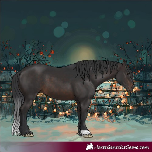 Horse Color:Brown 