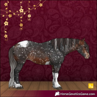 Horse Color:Bay Tobiano Snowflake Varnish