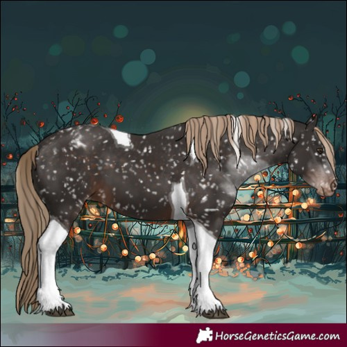 Horse Color:Liver Chestnut Tobiano Appaloosa