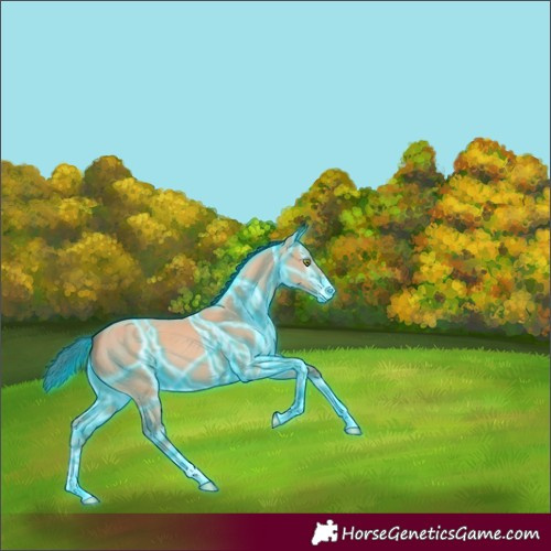 Horse Color:Thunderstruck Amber Champagne