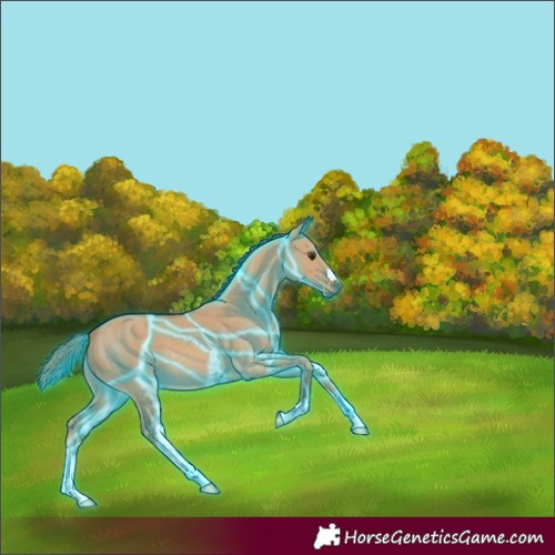 Horse Color:Thunderstruck Red Dun 