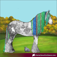 Horse Color:Painted White Spotted Silver Smoky Black Chinchilla Ice Tobiano 