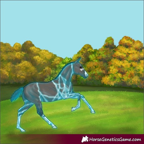 Horse Color:Thunderstruck Grullo 