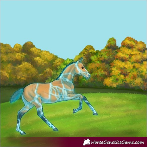 Horse Color:Thunderstruck Buckskin 