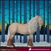 Horse Color:Silver Grullo 