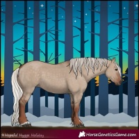 Horse Color:Silver Grullo