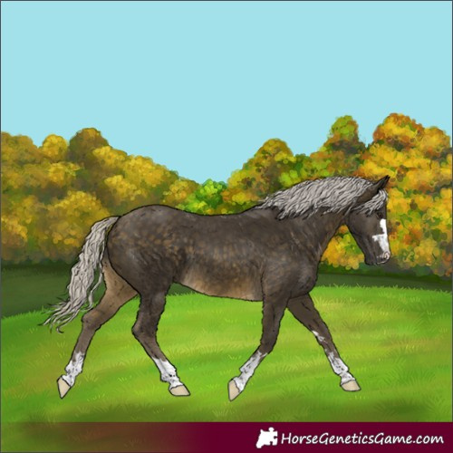 Horse Color:Silver Buckskin 