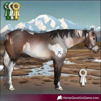 Horse Color:White Spotted Silver Brown Roan  and Gray Bay 