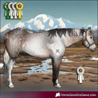 Horse Color:White Spotted Silver Brown Roan  and Gray Bay 