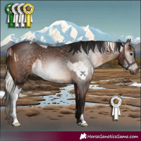Horse Color:White Spotted Silver Brown Roan  and Gray Bay 