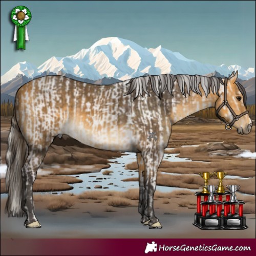 Horse Color:Silver Grullo Tobiano Rabicano  and Buckskin 