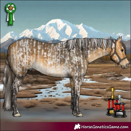 Horse Color:Silver Grullo Tobiano Rabicano  and Buckskin 