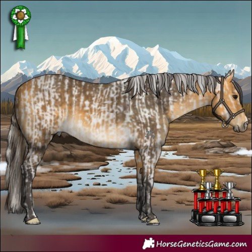 Horse Color:Silver Grullo Tobiano Rabicano  and Buckskin 